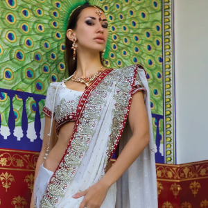 Fashion Georgette Saree